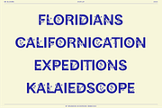BN Blooms, a Sans Serif Font by Bnick (Thumbnail 2 of 17)