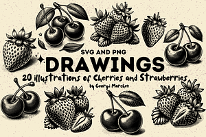 Cherries and Strawberries Drawings