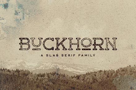 Buckhorn Typeface, a Slab Serif Font by Tugcu Design Co.