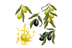 olive oil branch green set cartoon