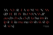 Erotique Sans - 10 fonts, a Sans Serif Font by Zetafonts (Thumbnail 10 of 18)