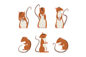 Field Mouse as Small Rodent with, an Animal Illustration by TopVectors