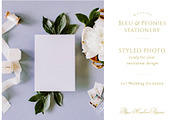 Bleu Wedding Photo Collection, a Photo by BlueHarborPaperie (Thumbnail 6 of 7)
