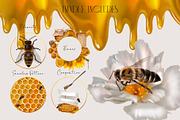 Honey Bee - Watercolor Breakfast, an Illustration by NNclipart (Thumbnail 2 of 8)