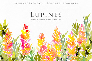 Watercolor Pink Yellow Lupine Flower