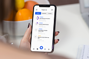 Freelancer Project Tracker App, an App Template by twinstd (Thumbnail 4 of 5)