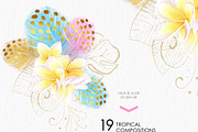 Tropic protea, watercolor clip art, a Seasonal Illustration by katmonne (Thumbnail 4 of 9)