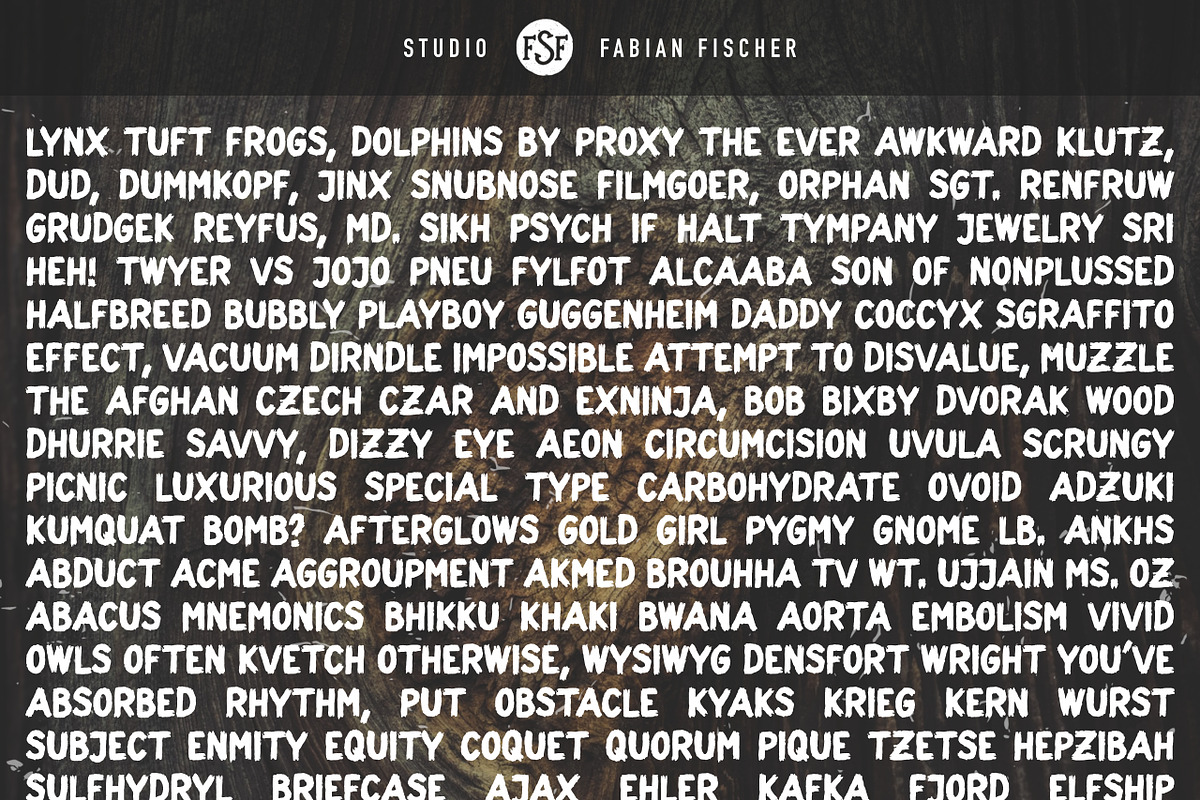 Ludwig Lumberjack - Handmade font, a Sans Serif Font by Studio FabianFischer (Photo 3 of 3)