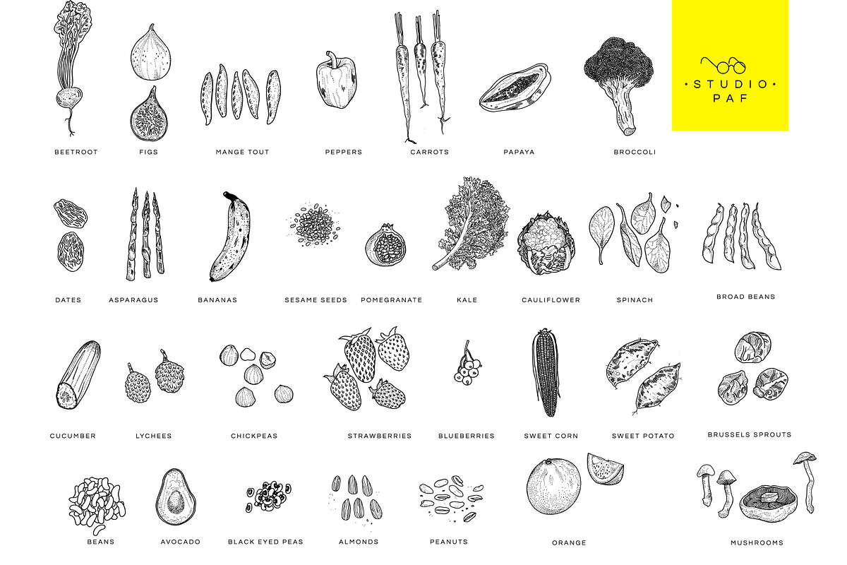 Fruit & Veg - Hand Drawn Vectors, a Food Illustration by STUDIO PAF (Photo 2 of 8)