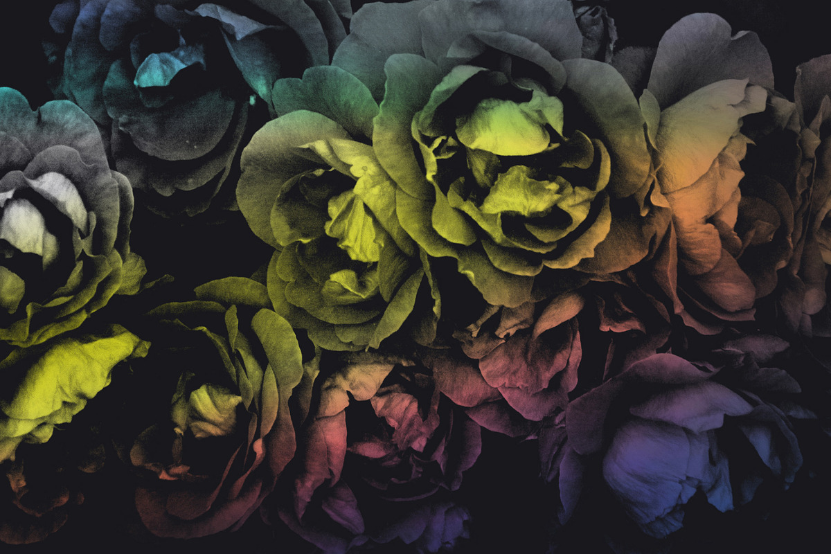 Elegant Floral Photoshop Brushes, a Brush Add-On by Milka (Photo 6 of 10)