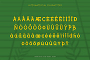 Ironleth - Slab Serif Typeface Font, a Slab Serif Font by Rishsketch (Thumbnail 14 of 15)