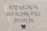 Wishbitten Storybook Serif Font, a Serif Font by The October Creative (Thumbnail 6 of 8)