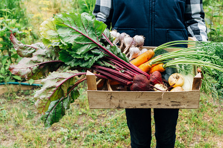 Fresh and natural products
