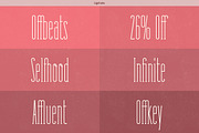 Fabuleuse Slab Font + Free Bonus, a Slab Serif Font by Nuno Dias (Thumbnail 2 of 5)