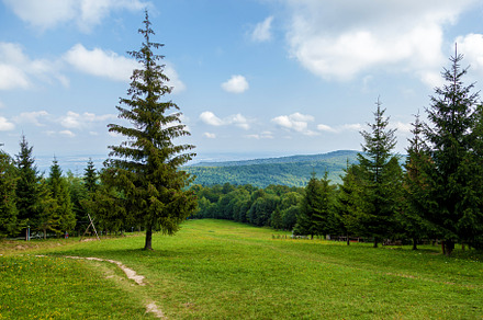 Beautiful landscapes of the Carpathian mountains, a Nature Photo by Photostock
