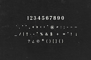 Silvex Editorial Serif Family Font, a Serif Font by UICreative (Thumbnail 6 of 13)