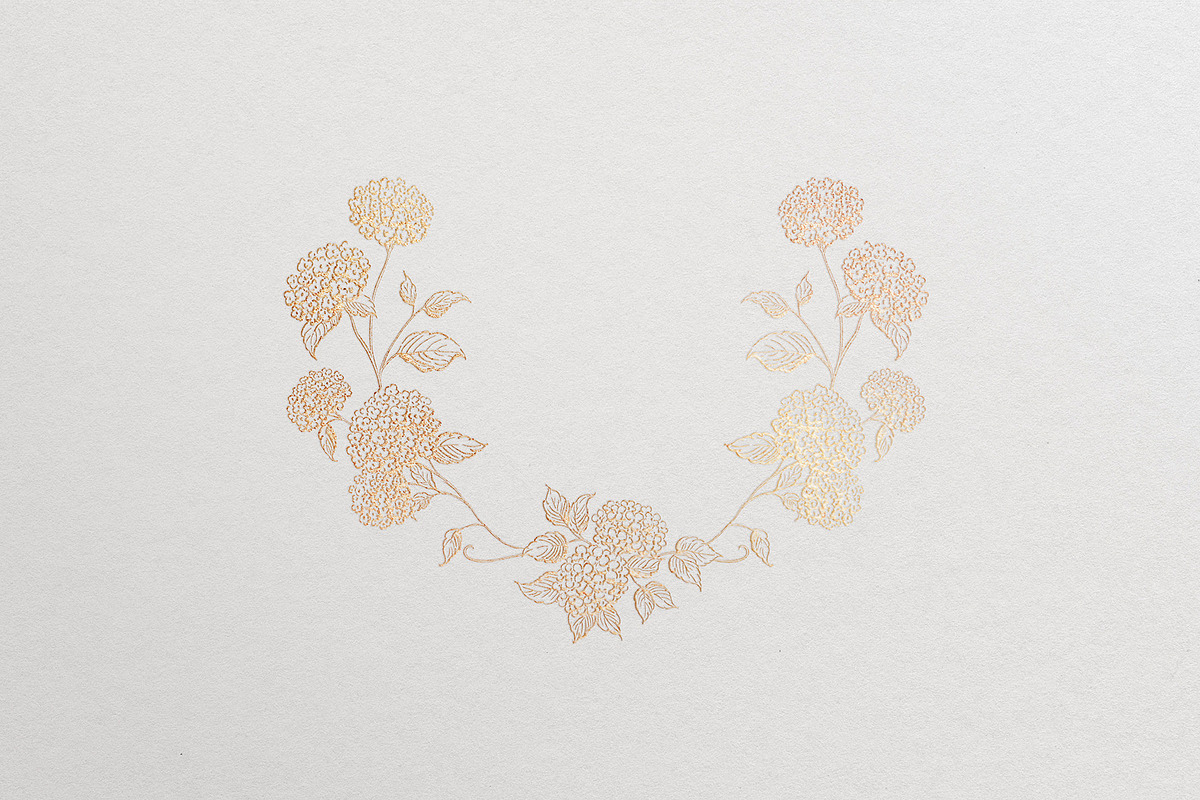 Hydrangea line art flowers, an Object Illustration by Sensual Art (Photo 9 of 9)