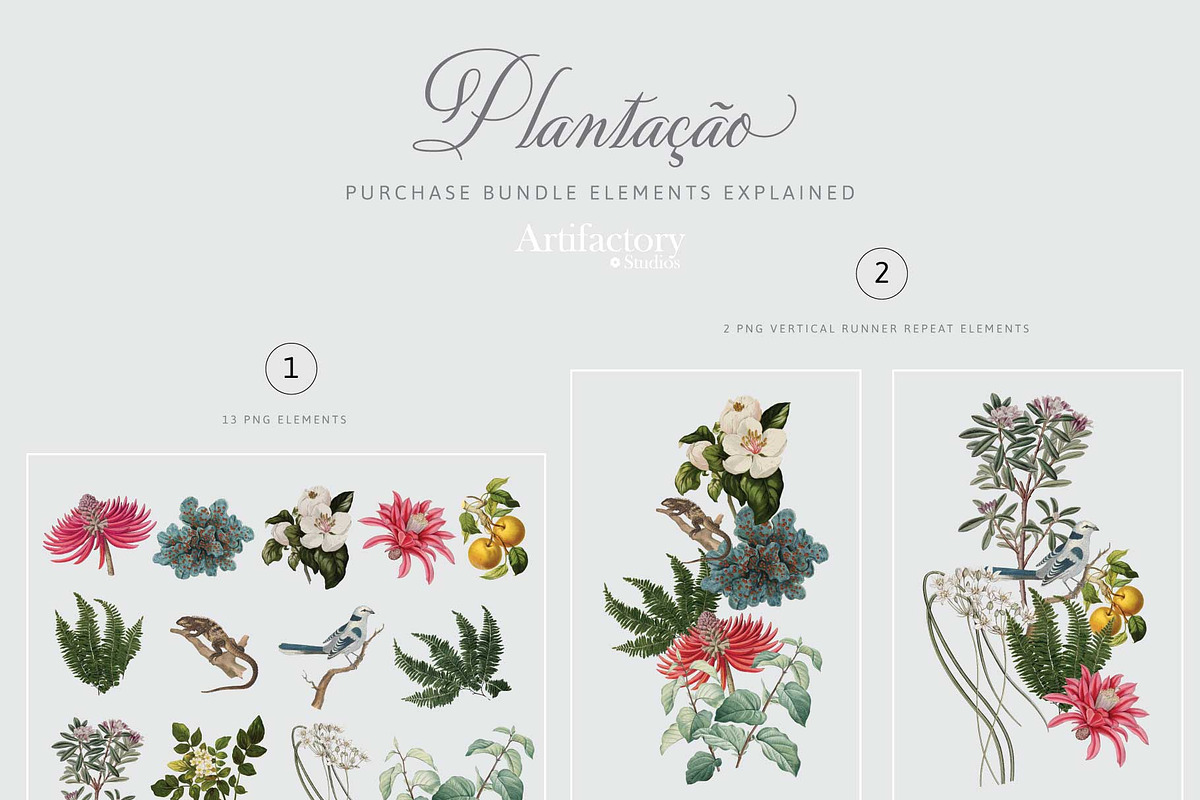 Plantação Botanical Elements I PNG, a Pattern Graphic by Artifactory Studios (Photo 7 of 8)