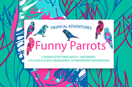 Designs with funny and bright parrot