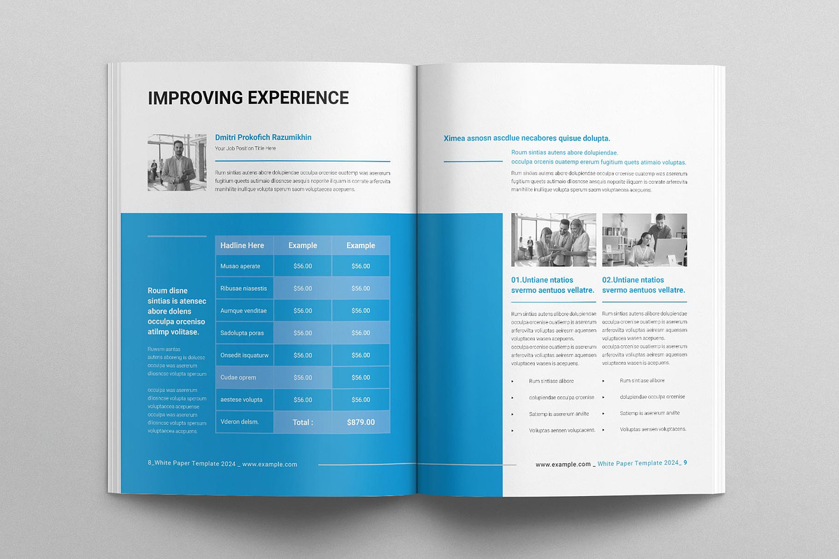 White Paper Template, a Brochure Template by E-Type (Photo 4 of 9)