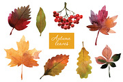 Watercolor autumn leaves, an Illustration by lenlis (Thumbnail 1 of 5)