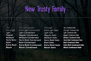 New Trusty, a Sans Serif Font by groens (Thumbnail 4 of 6)