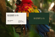 Eastrave, a Serif Font by din-studio.com (Thumbnail 2 of 11)