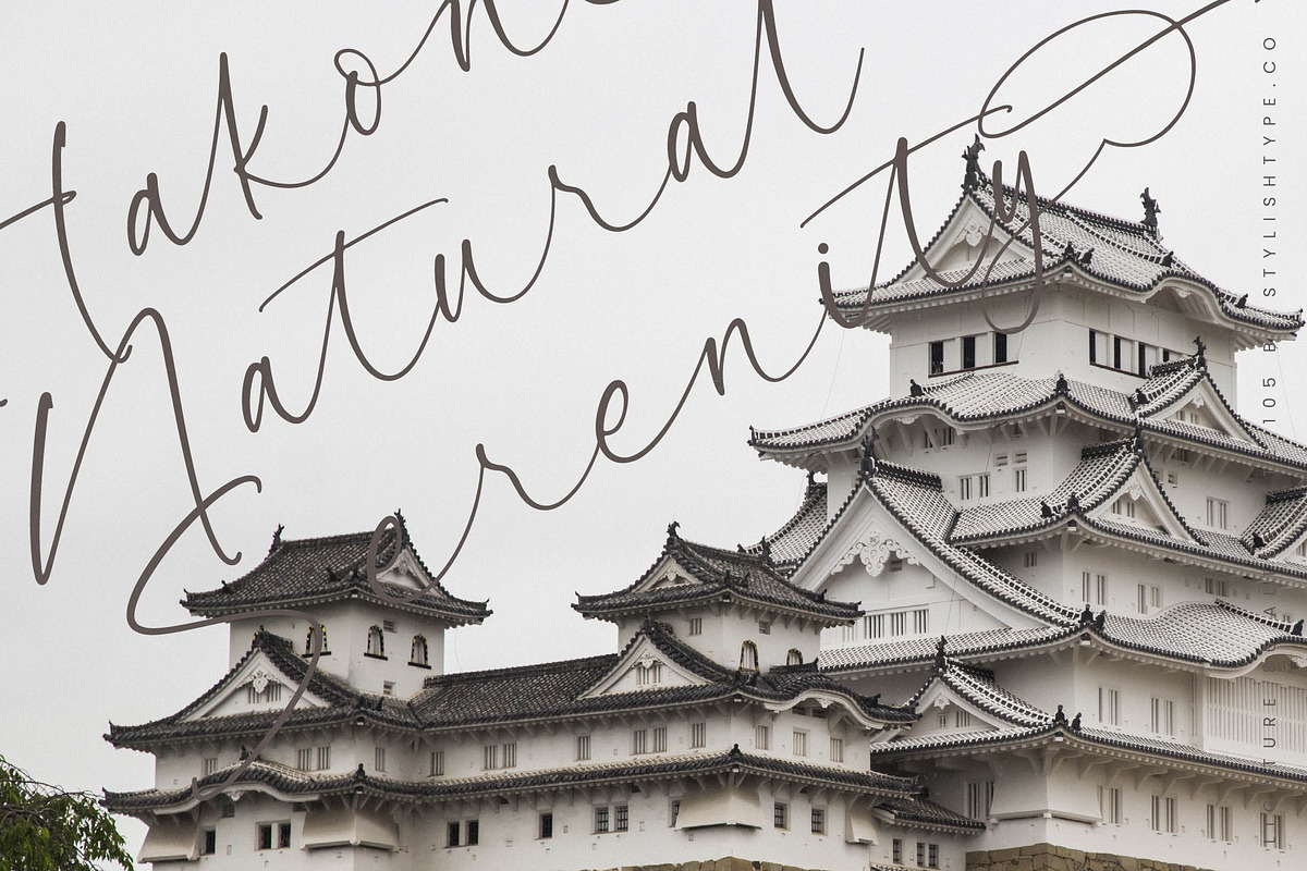 Garden Silent Elegant Script Font, a Script Font by stylishtype.co (Photo 9 of 20)