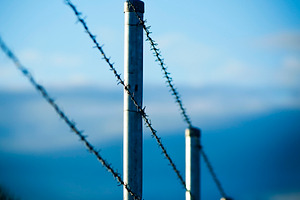 Barbed Wire Fence, an Industrial Photo by THP Creative
