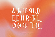 La Signora - Display Serif, a Serif Font by Nirmana Visual (Thumbnail 9 of 9)