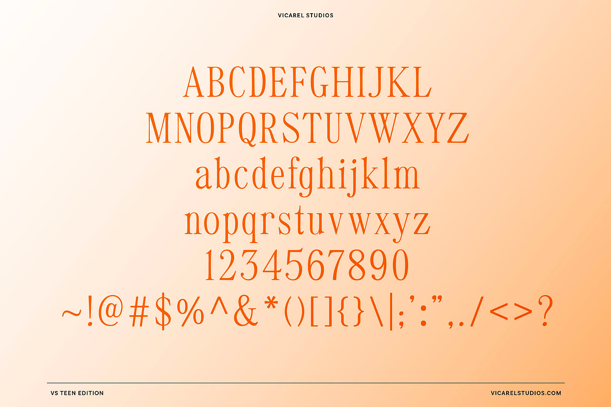 VS Teen Edition – Retro Serif Font, a Serif Font by Vicarel Studios (Photo 8 of 21)