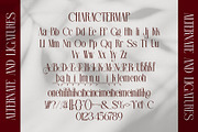 Filion || Elegant Classy Serif Font, a Serif Font by Ermedia Studio (Thumbnail 10 of 10)