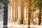 Forest Tone Lightroom Presets, an Action Add-On by N A N D U Z D E S I G N (Thumbnail 9 of 10)