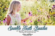 Sparkle Trails Brushes & Overlays, a Brush Add-On by MarieMcKennaDesigns (Thumbnail 1 of 8)