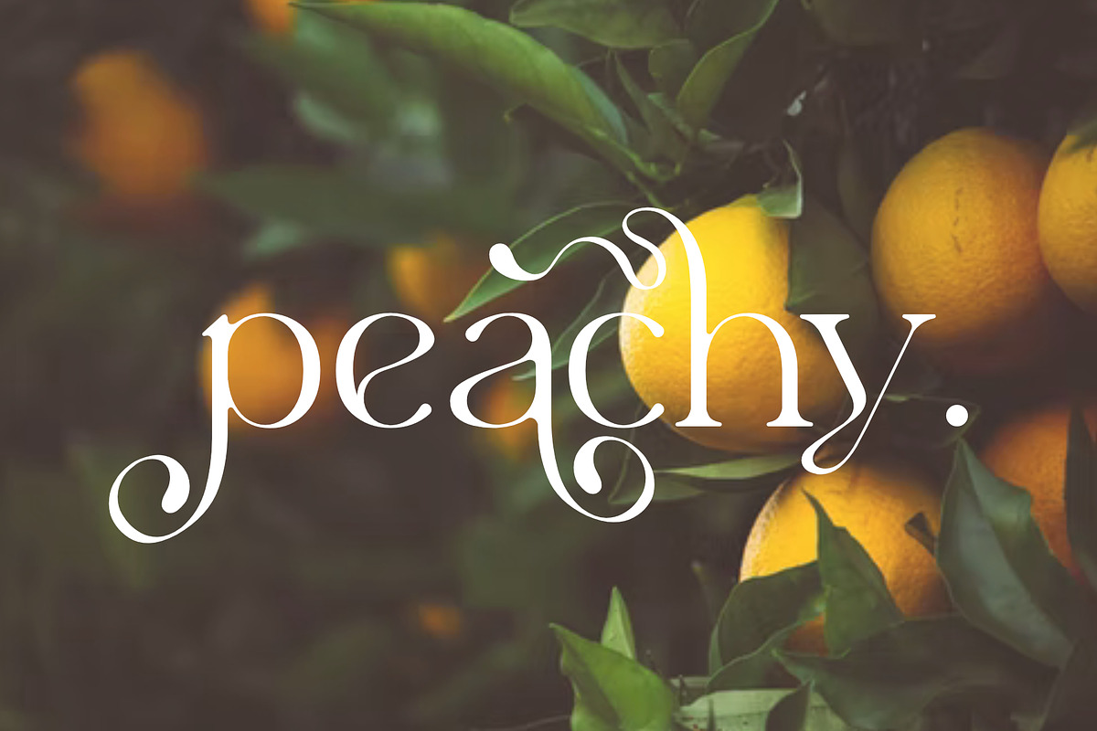 Free Download - Fontfreebie