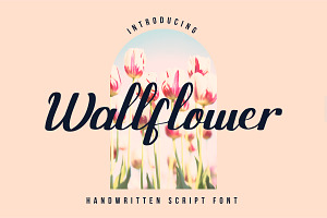 Wallflower