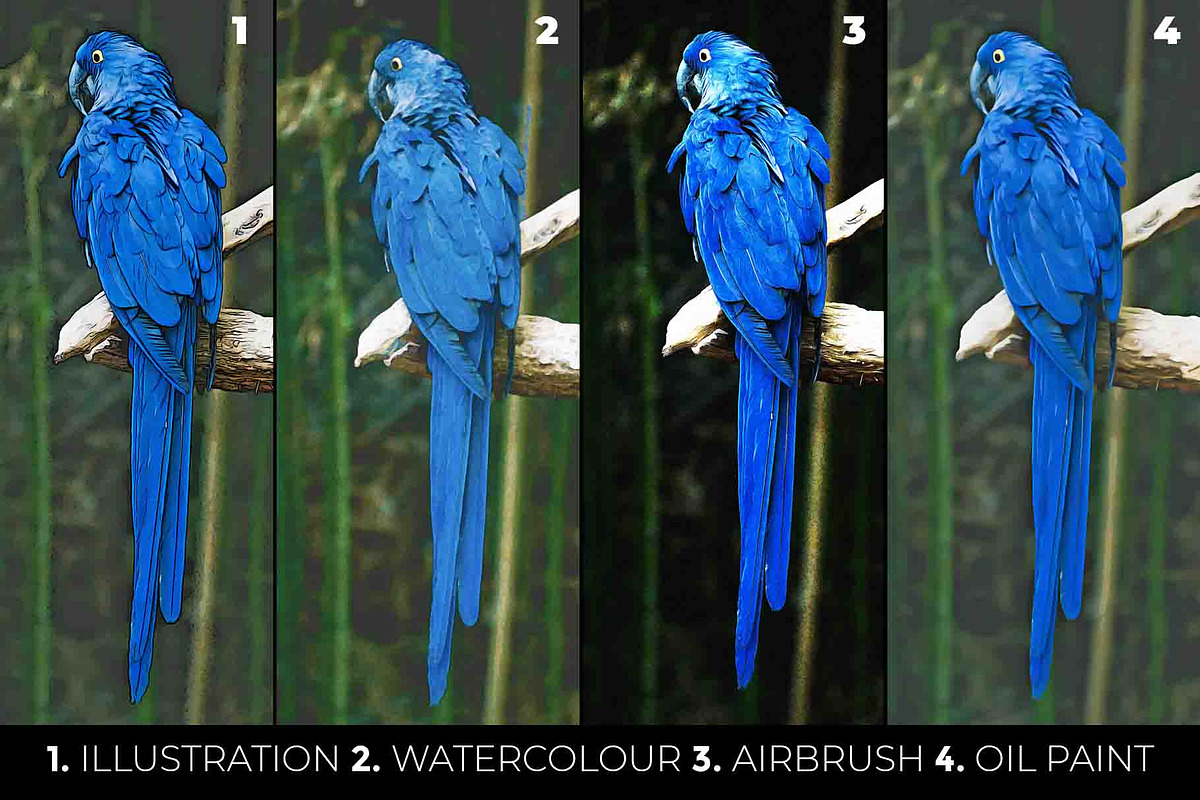 The Digital Art Collection, an Action Add-On by Dene Studios (Photo 3 of 34)