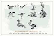 Hand Drawn Shorebirds Set, an Animal Illustration by Well Rock Designs (Thumbnail 2 of 8)