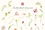Watercolor wildflower, dried botany, a Decorative Illustration by MariGraphic boutique (Thumbnail 11 of 12)