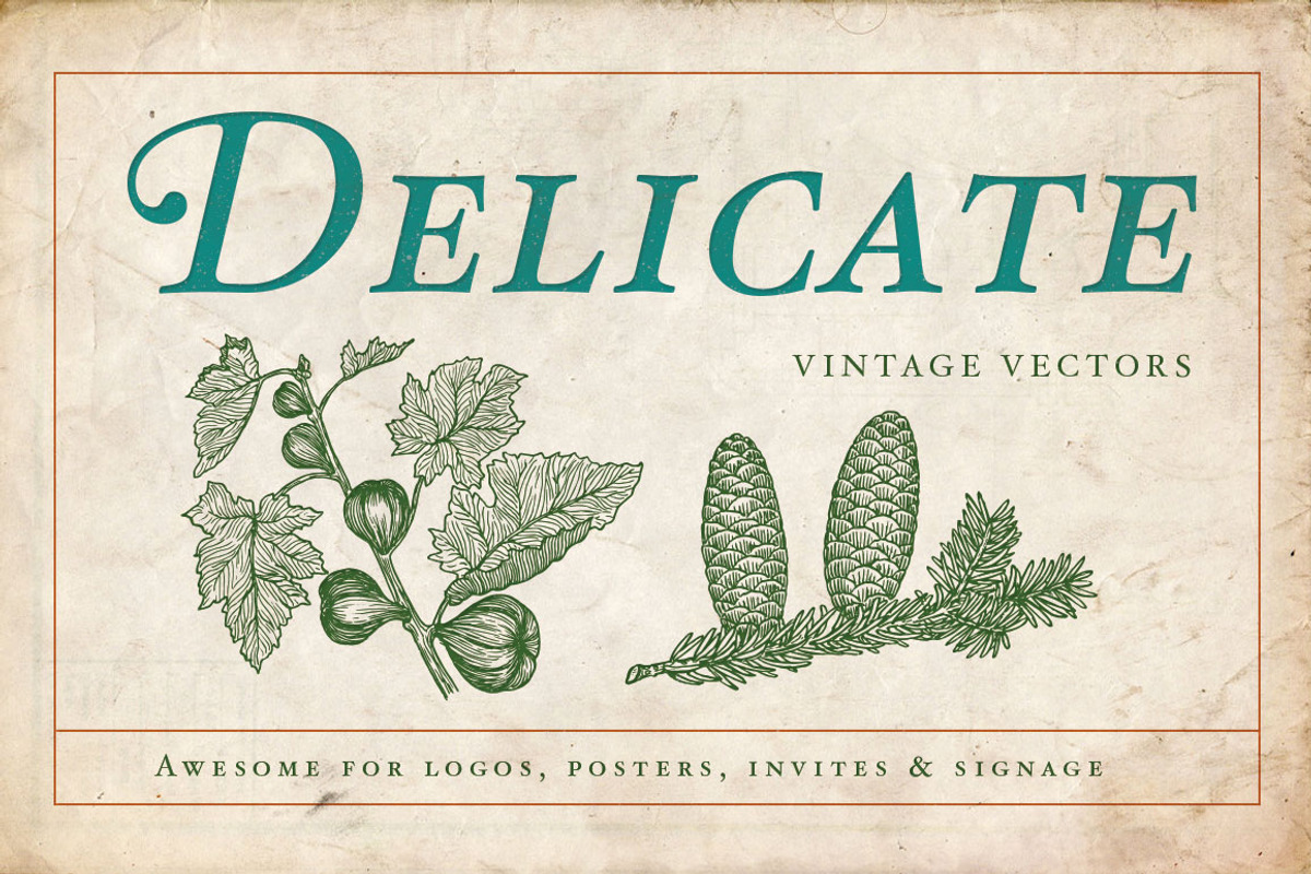 Horticulture - 130 plant vectors, an Education Illustration by BlackBird Foundry (Photo 3 of 3)