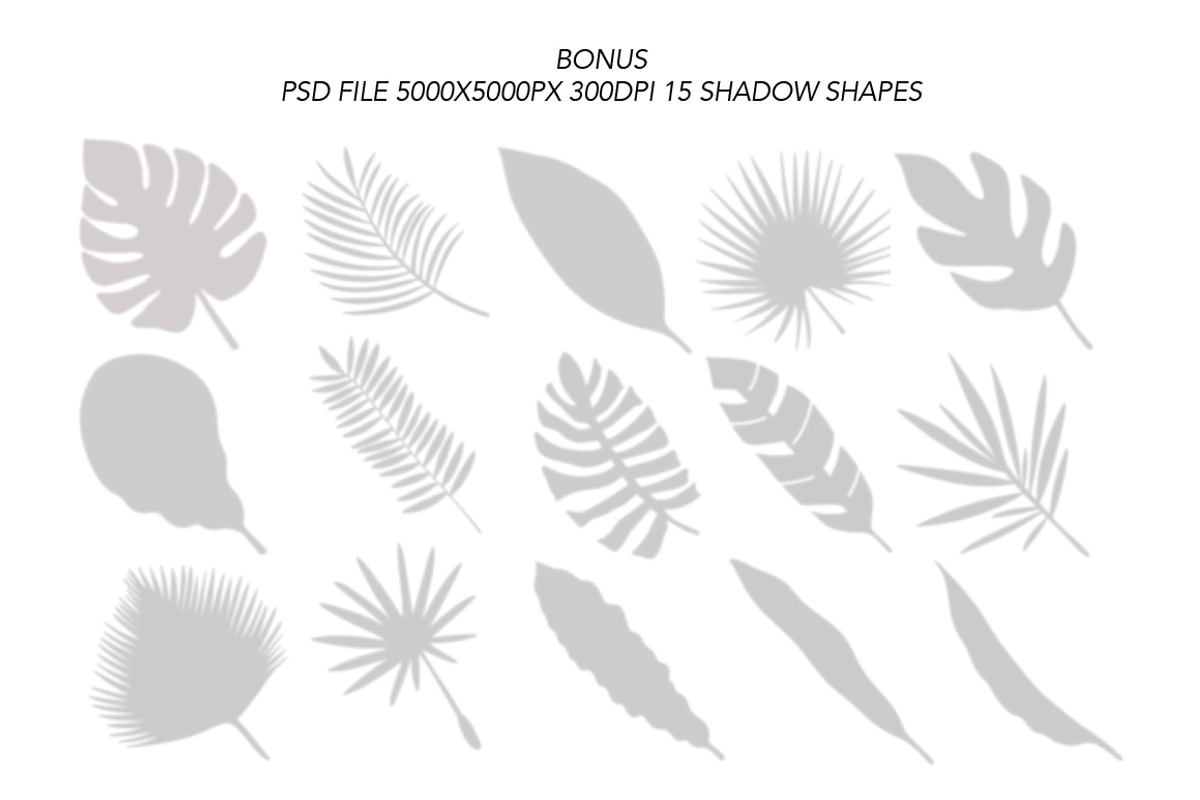 Paper Rolls Mockups + shadow overlay, a Packaging Mockup by Almazova Dolzhenko (Photo 10 of 10)
