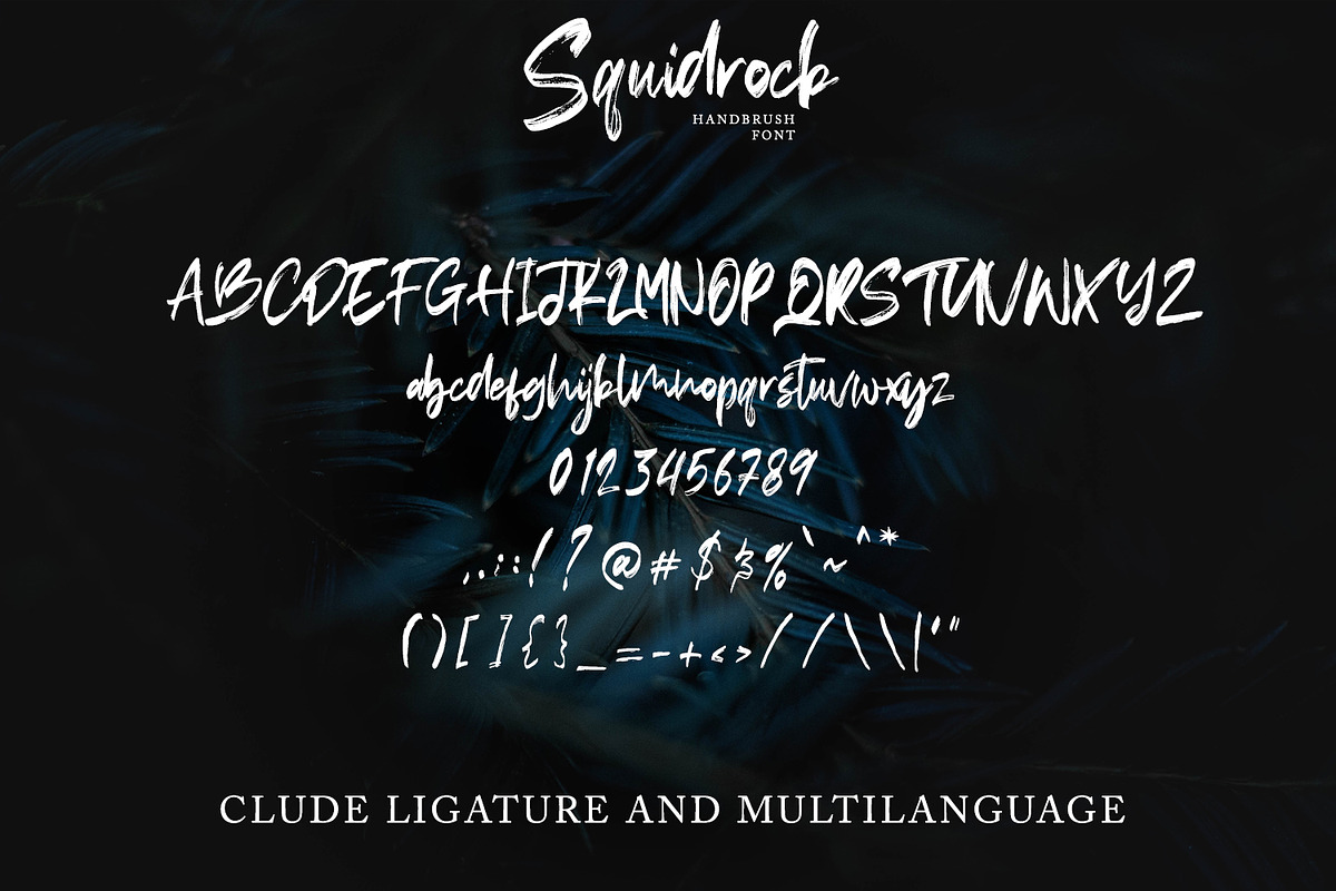 Squidrock - Handbrush Typeface preview 8