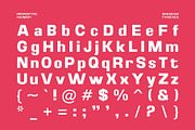 Braskion, a Sans Serif Font by Propertype (Thumbnail 12 of 15)