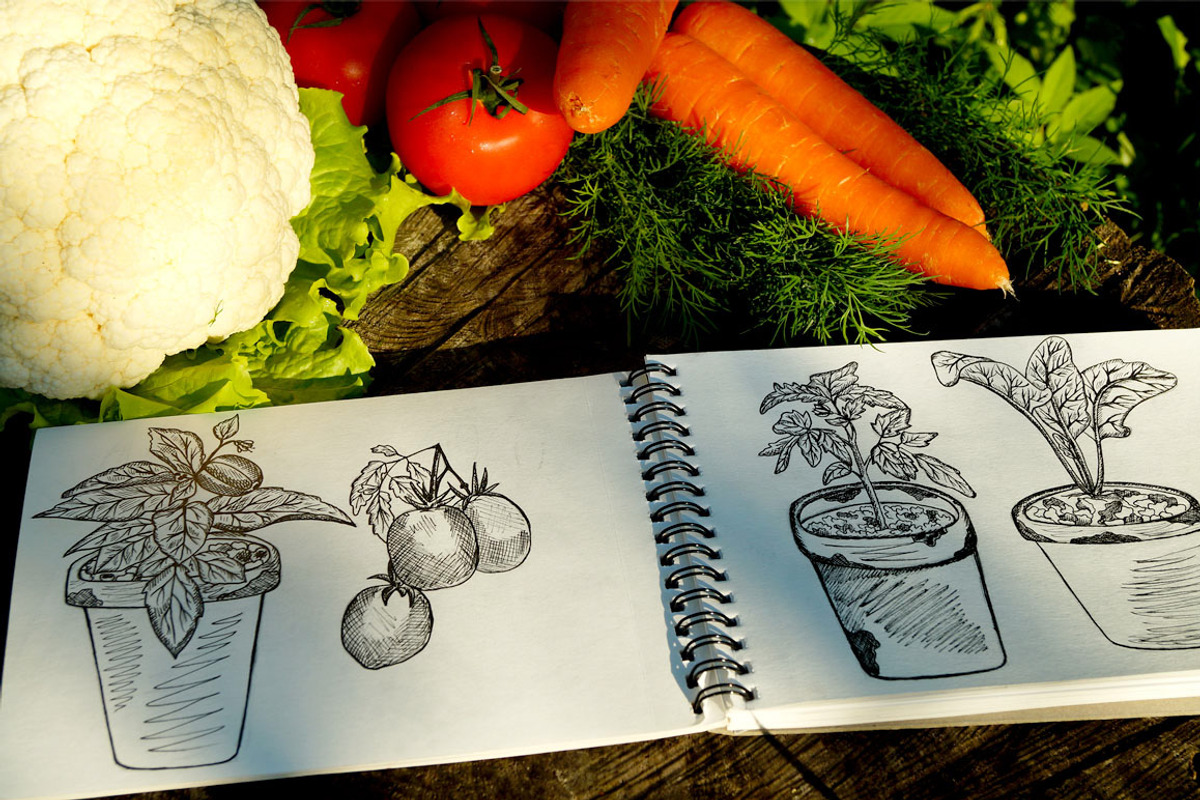 Big set Gardening!, an Illustration by TashaDraw (Photo 3 of 9)