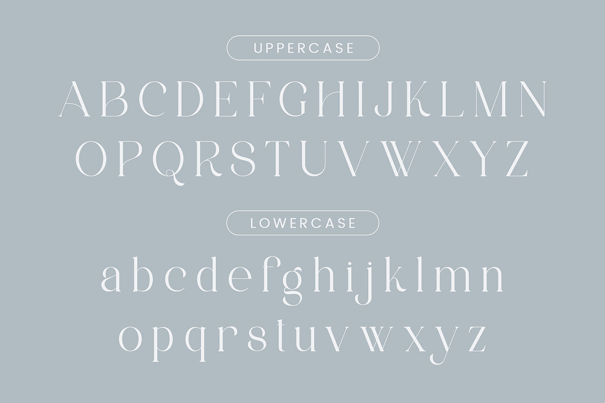 Avakine - Modern Ligature Typface, a Serif Font by AnnofaType (Photo 6 of 8)