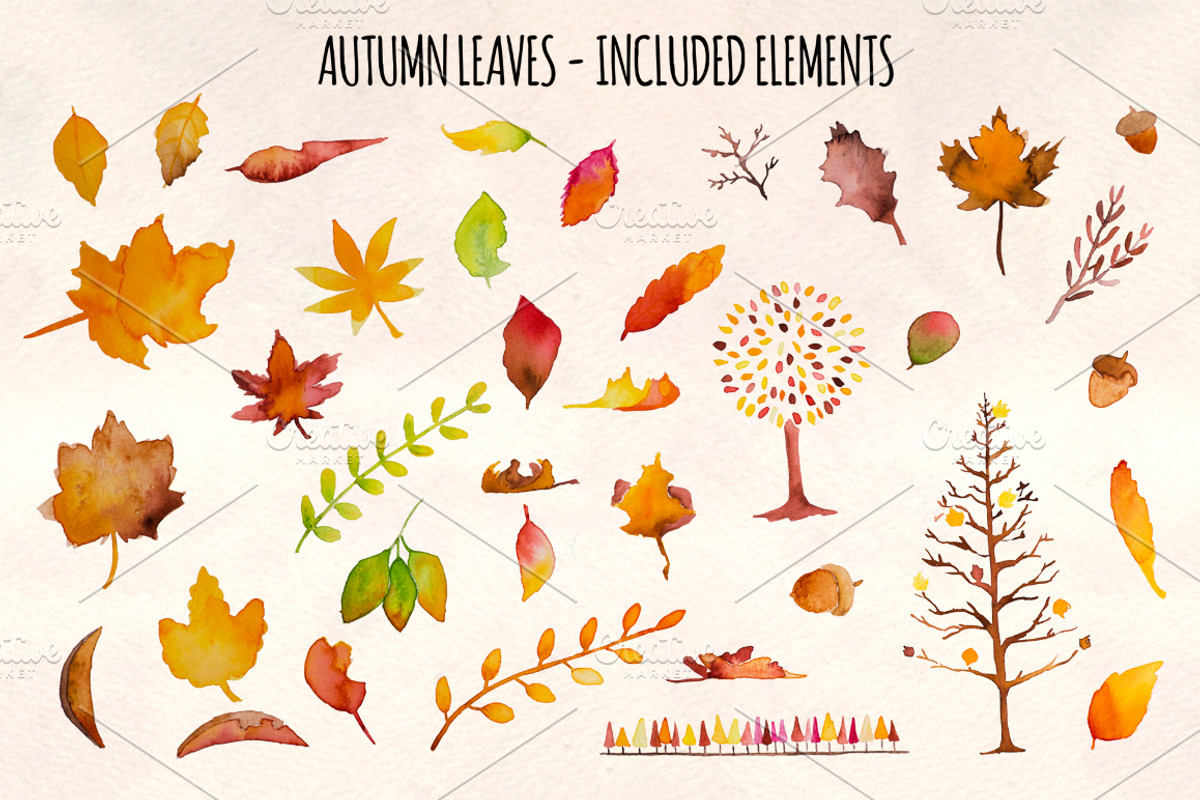 Autumn Leaves 37 Watercolor Elements, a Seasonal Illustration by Violet LeBeaux (Photo 2 of 3)