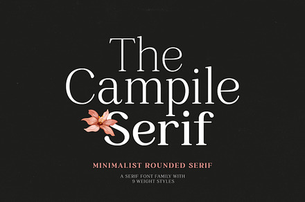 Campile - Minimalist Rounded Serif, a Serif Font by Bale Type