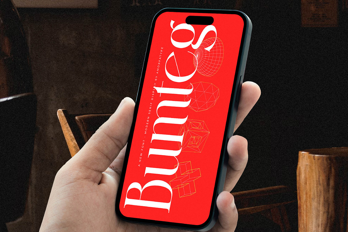 Bumteg A Modern Serif Font, a Serif Font by AmorfaType (Photo 10 of 11)