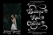 Bulgota, a Script Font by TM Type (Thumbnail 4 of 10)