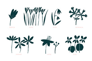 Spring Flowers Vector Collection